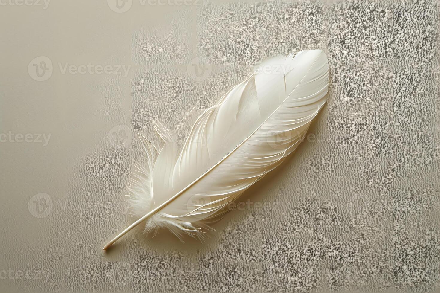 A white feather on a table photo