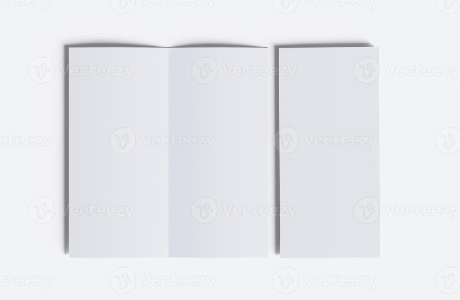 DL Bifold white color and realistic render on white background photo