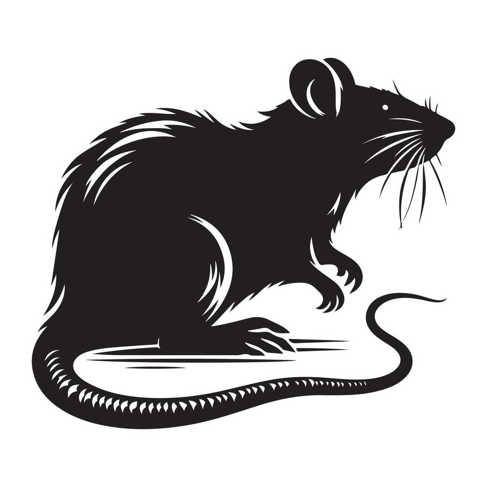 Rat vectors silhouette