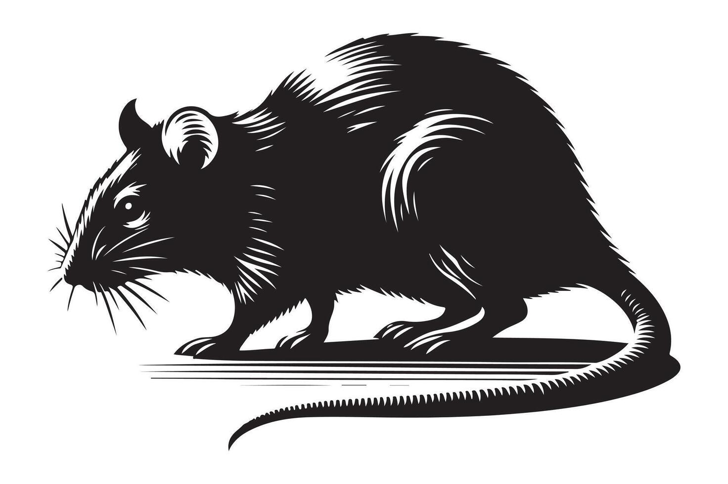 Rat vectors silhouette