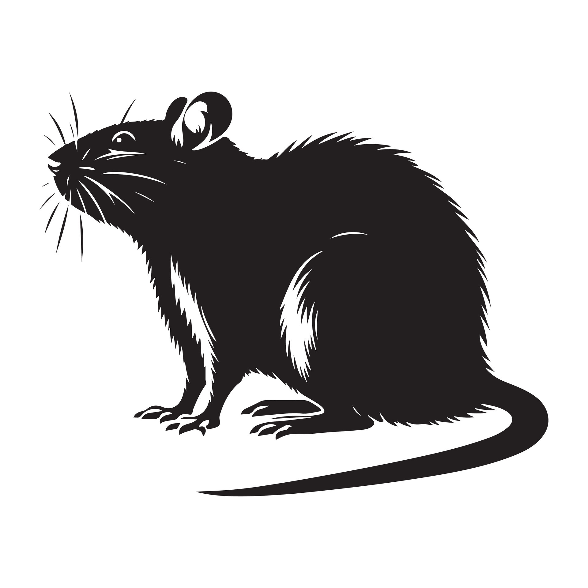 Rat vectors silhouette 46278078 Vector Art at Vecteezy