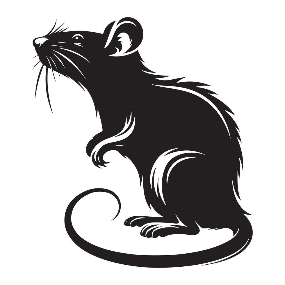 Rat vectors silhouette