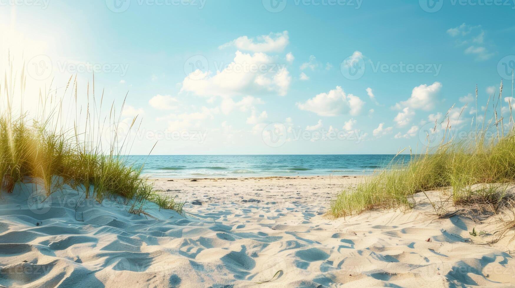 wild beach. Sea or ocean view with white sand and grass and free space photo