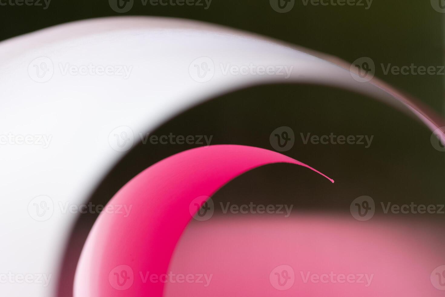 Organic shapes formed by a roll of cardstock. photo