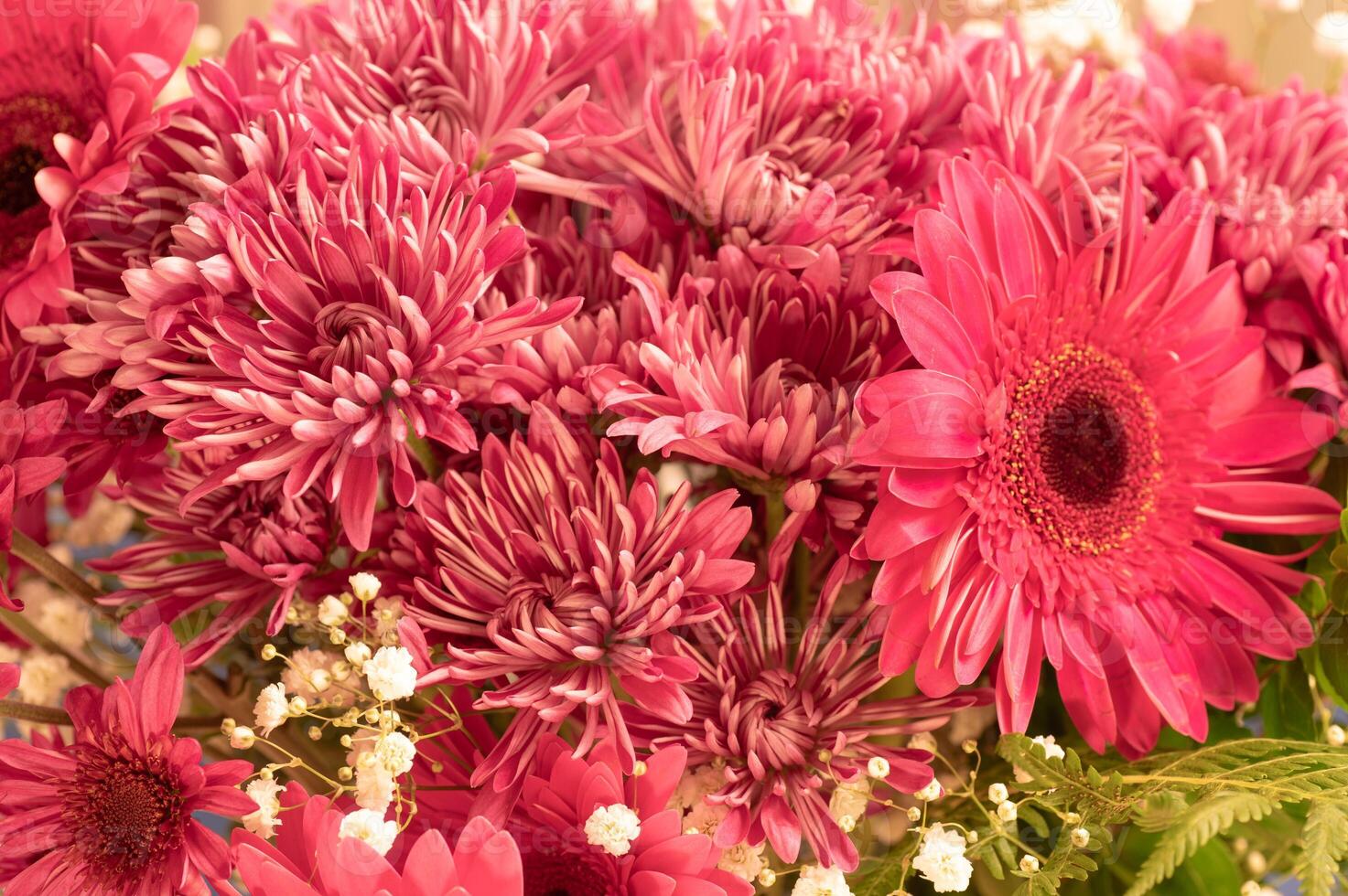 A vibrant group of flowers in a vase. photo