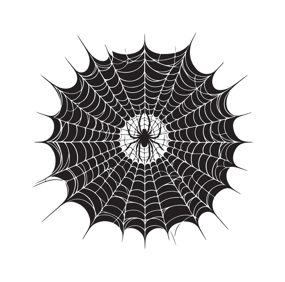 spider web illustration vector