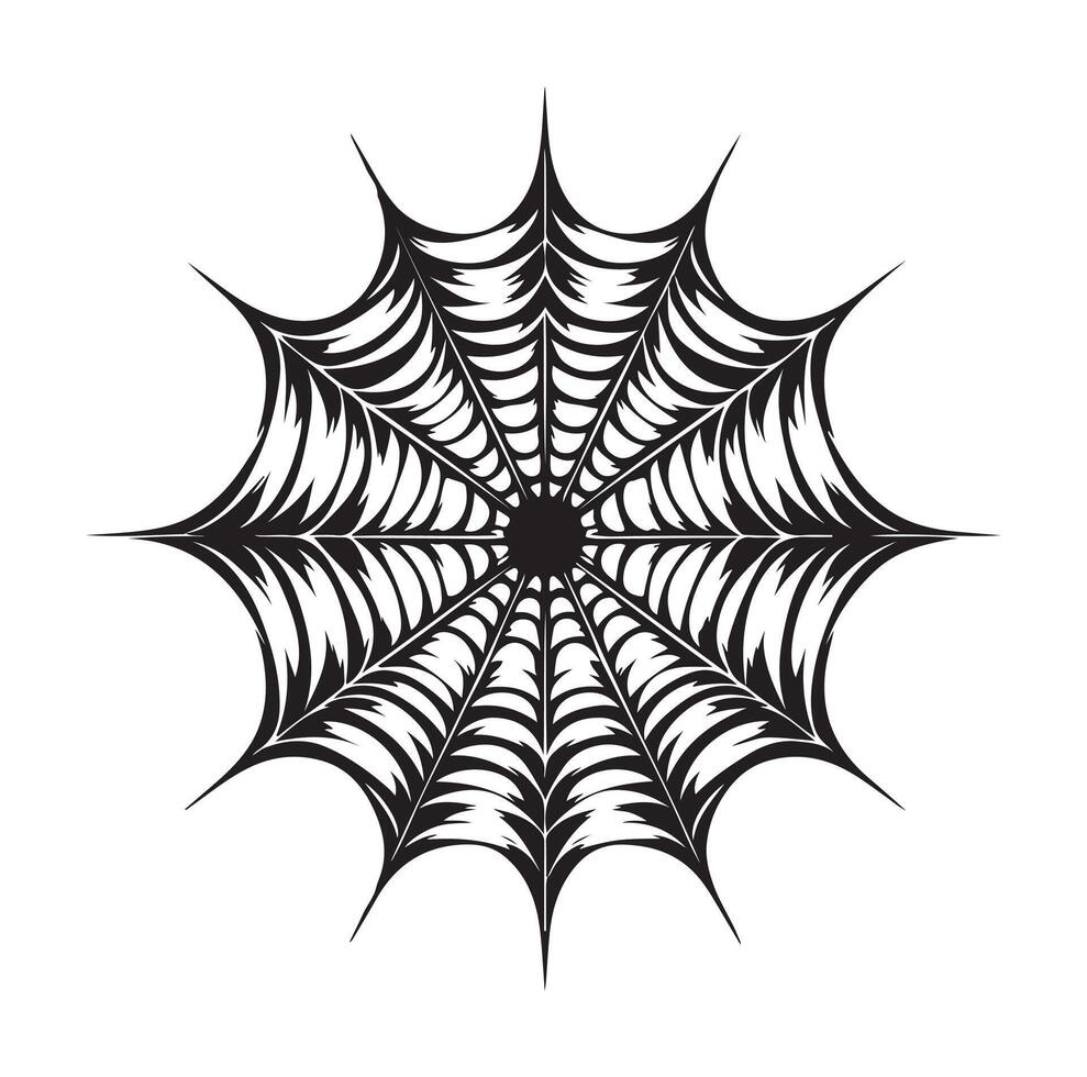 spider web illustration vector