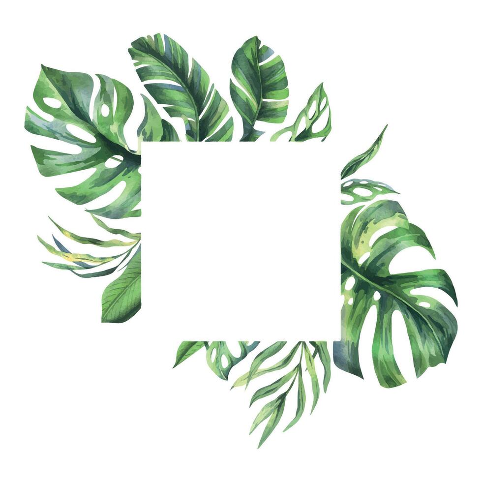 Tropical coconut, banana palm leaves, monstera, monkey mask, frangipani, bright juicy green. Hand drawn watercolor botanical illustration. Frame, template isolated from background vector