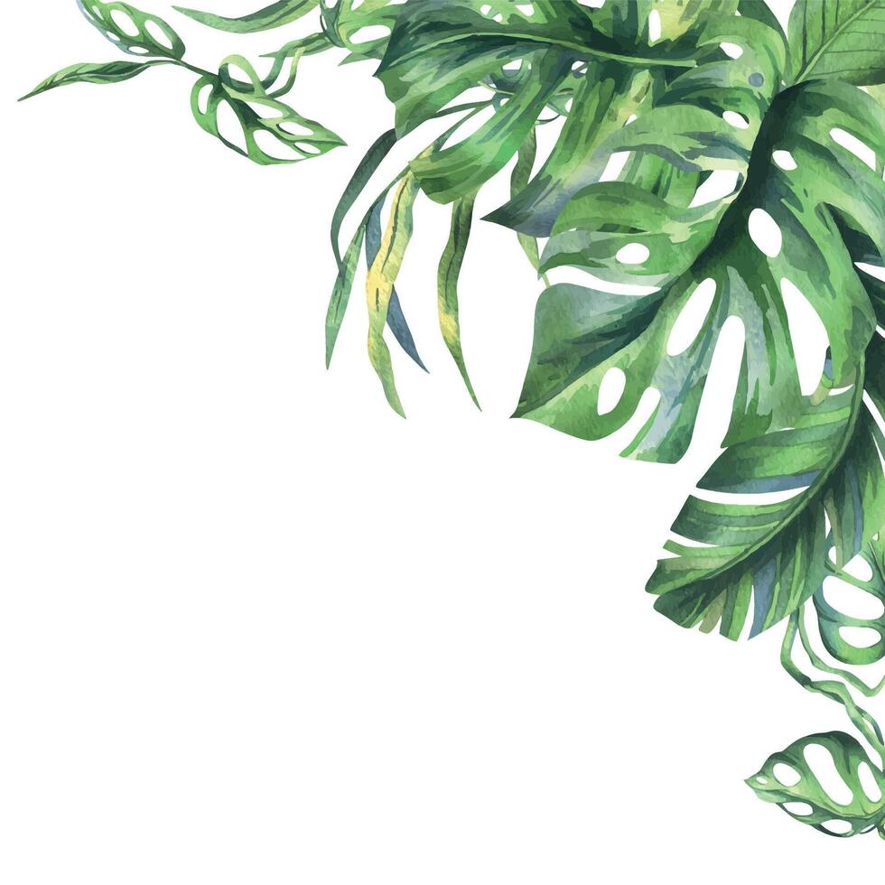 Tropical coconut, banana palm leaves, monstera, monkey mask, frangipani, bright juicy green. Hand drawn watercolor botanical illustration. Frame, template isolated from background vector