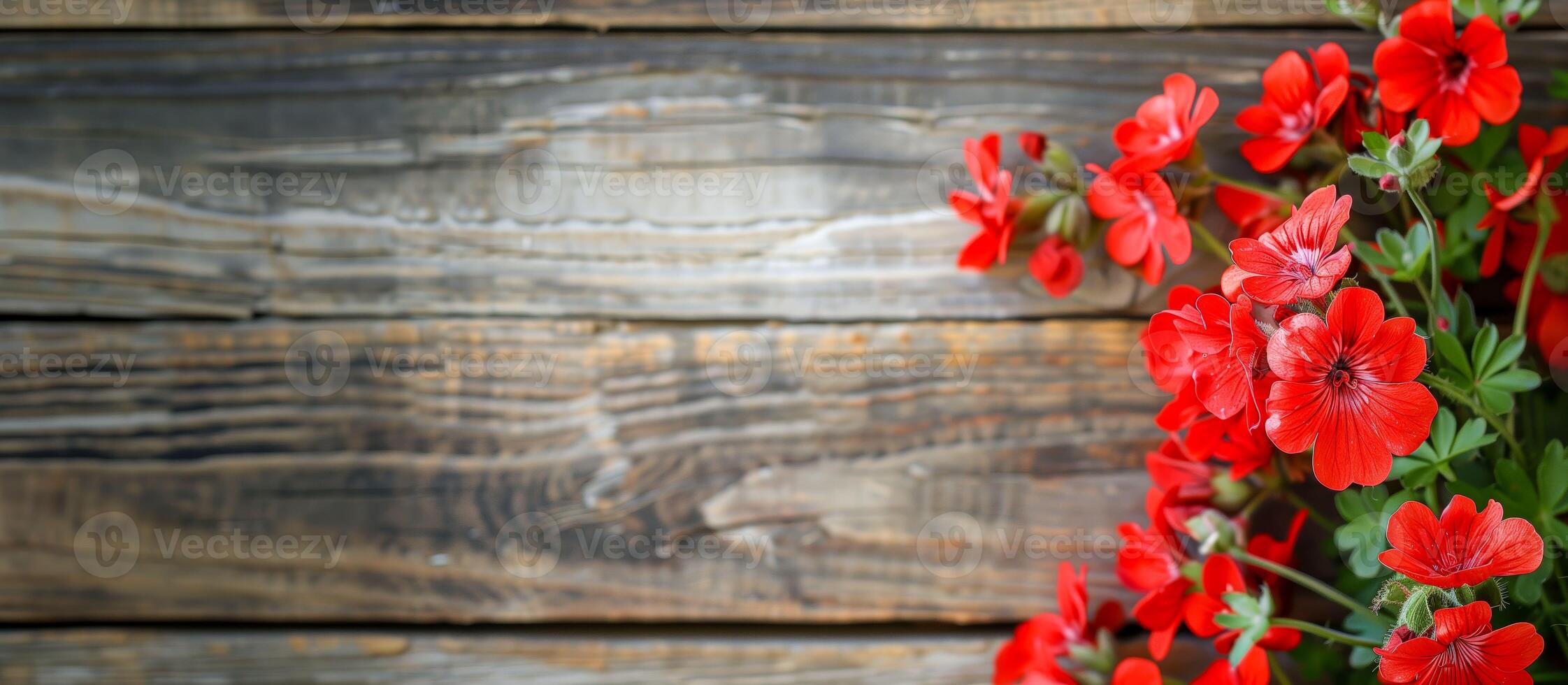 A red flower on a wooden table photo