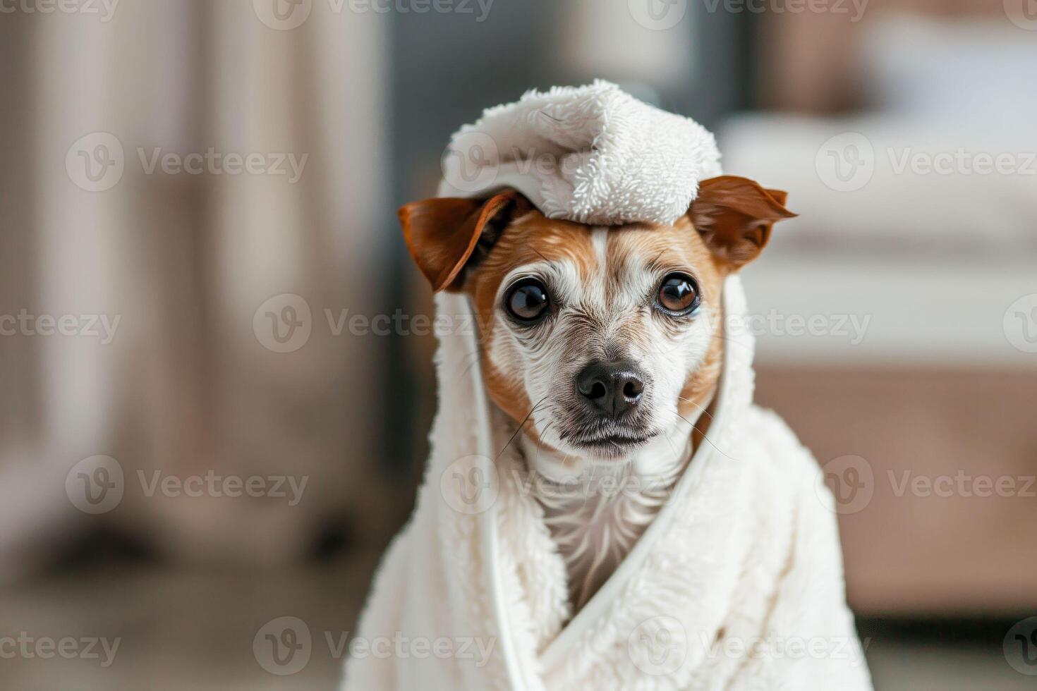 A dog wrapped in a towel sitting on the floor photo