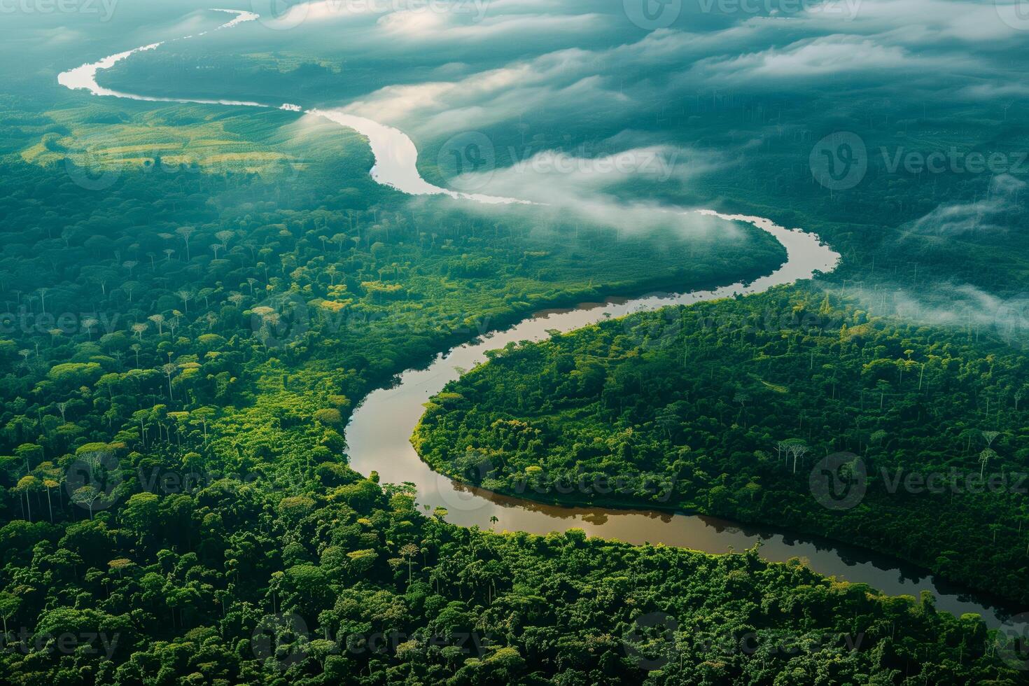 A river flowing through a dense green forest photo