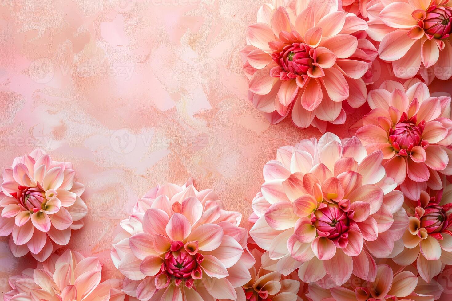 Many pink flowers on a pink background photo