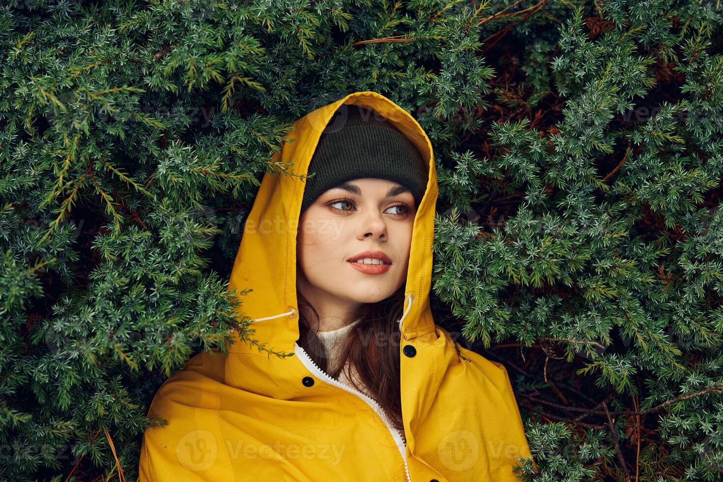 A woman in a yellow raincoat exploring the serene beauty of an evergreen forest during a nature trip photo