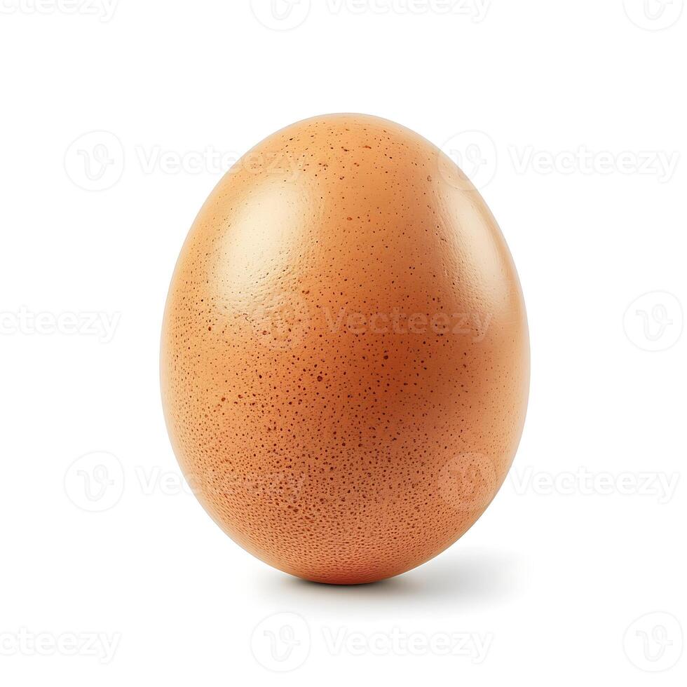 Brown egg isolated on white background with clipping path. Close up. photo