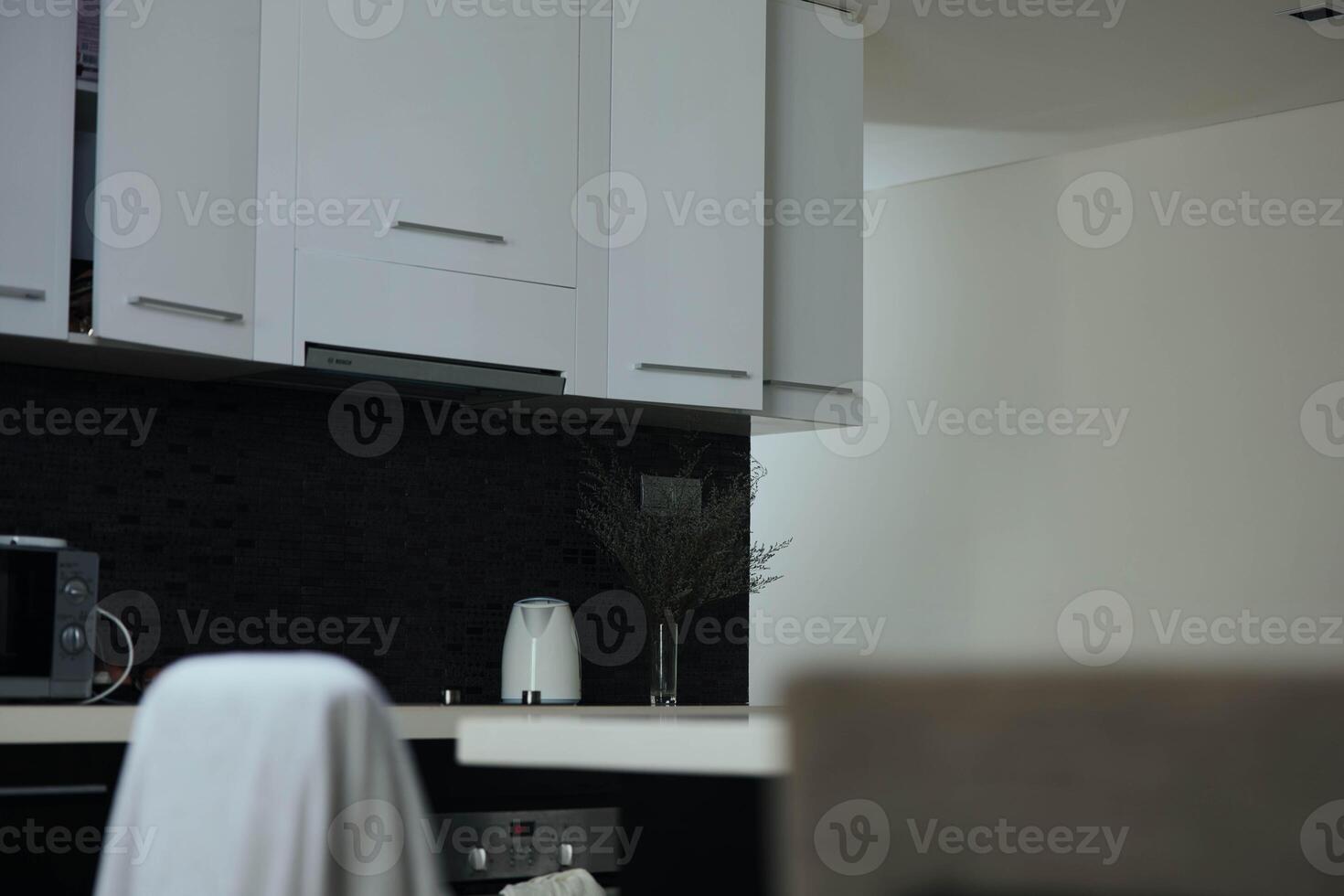 Monochrome kitchen interior with sleek white cabinets and a contrasting black countertop in a modern photo