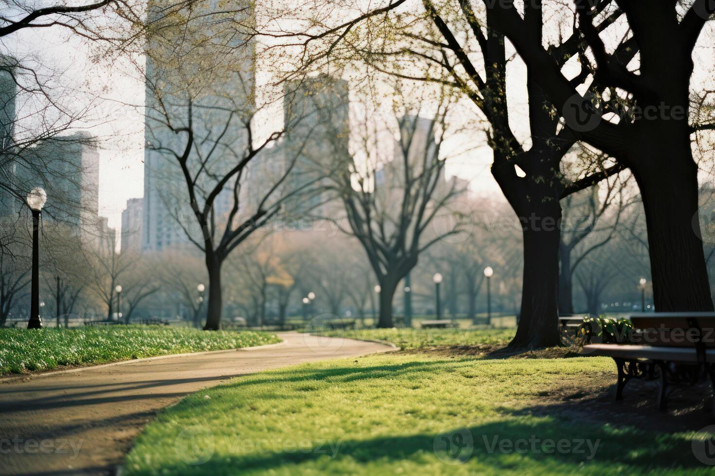 Urban Oasis. A Serene Park Amidst the Concrete Jungle - Cityscape Bliss photo