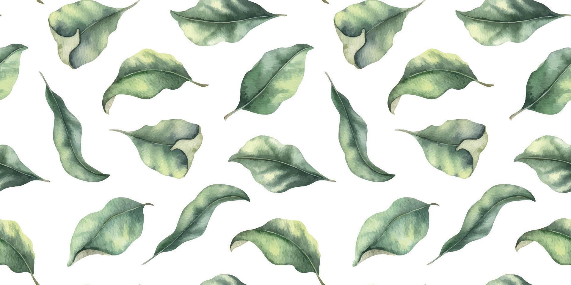 Green leaves. Hand drawn watercolor seamless pattern of greenery. Summer floral background for wedding design, textiles, wrapping paper, scrapbooking vector