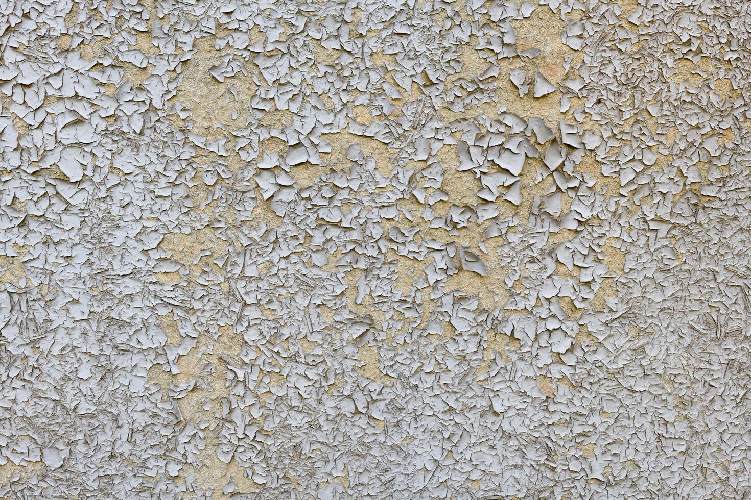 Old Peeling White Chipboard photo