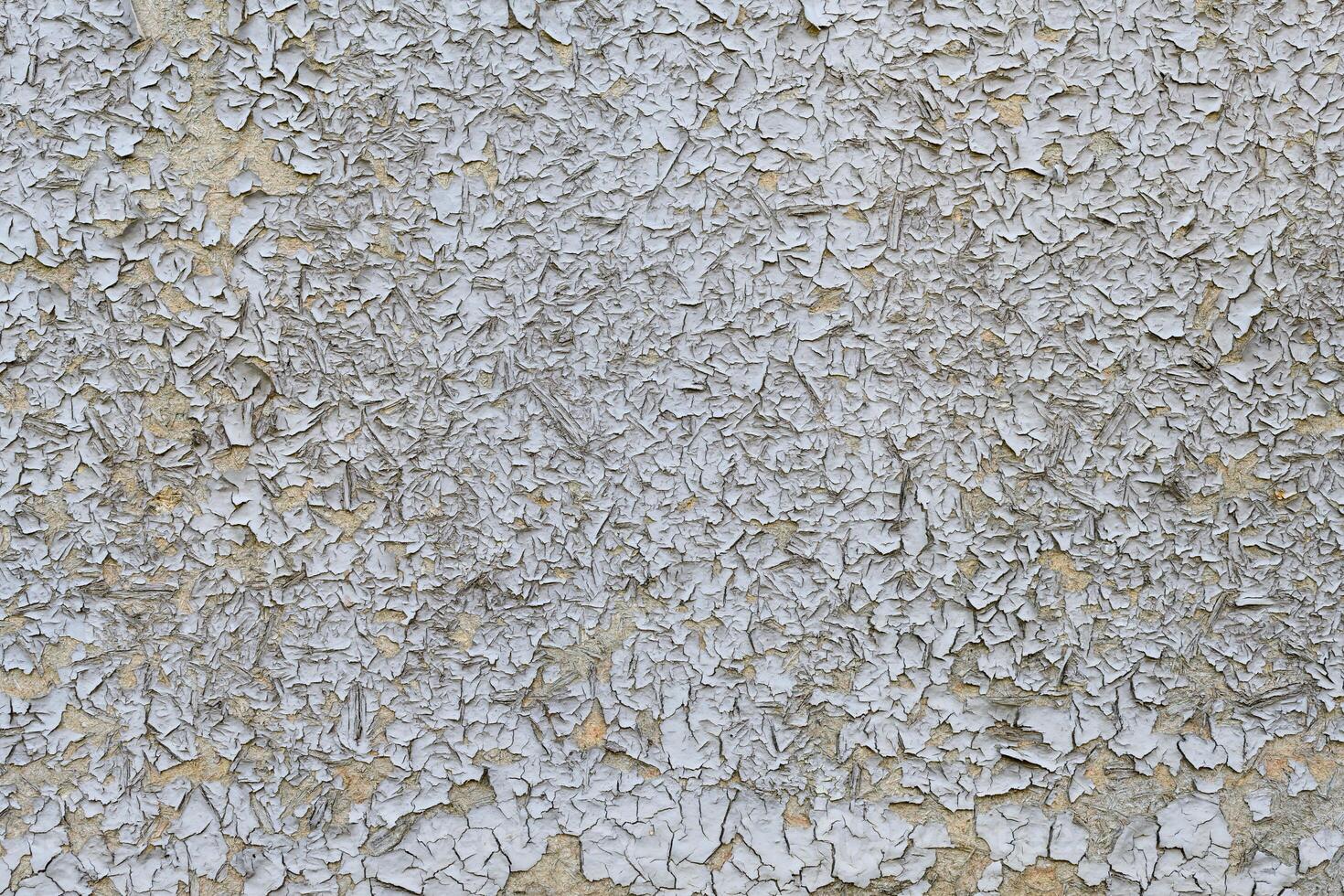Old Peeling White Chipboard photo