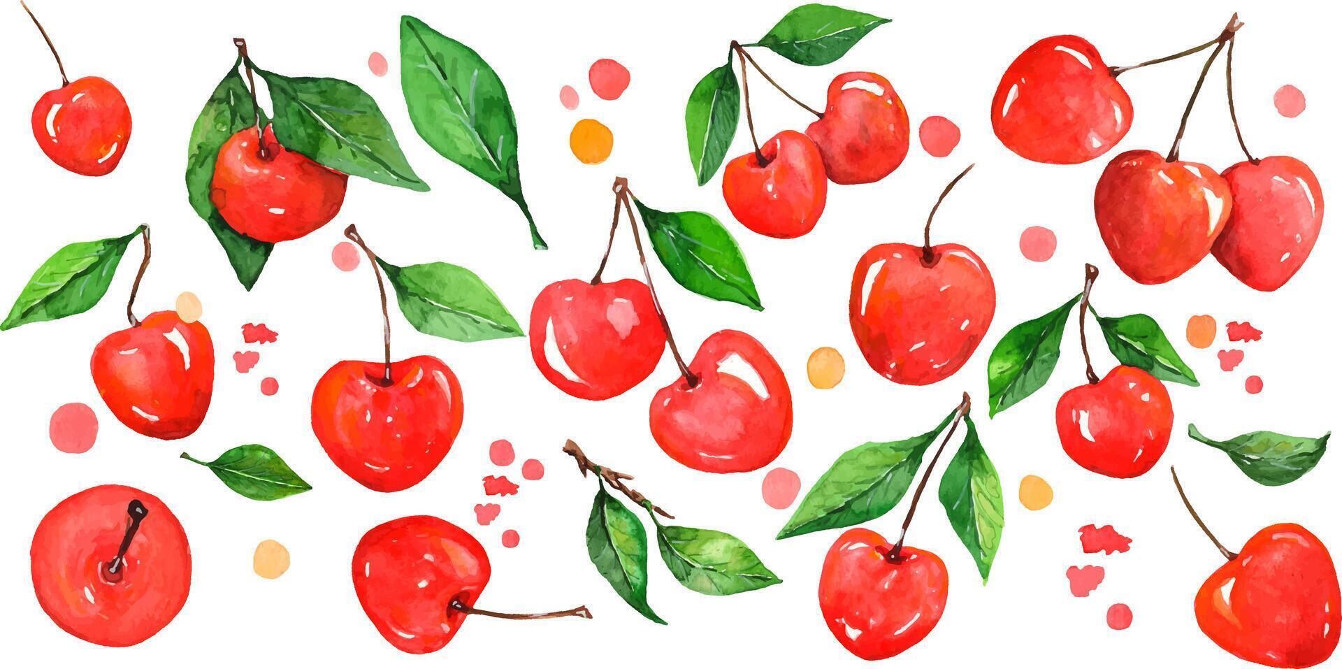 Collection of 27 cherry elements. All elements are painted with watercolors. vector