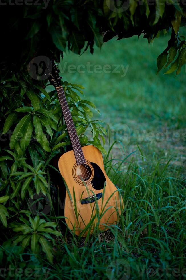 Acoustic guitar, orange string musical instrument placed in the area of trees and grass, playing music in the forest and relaxing. photo