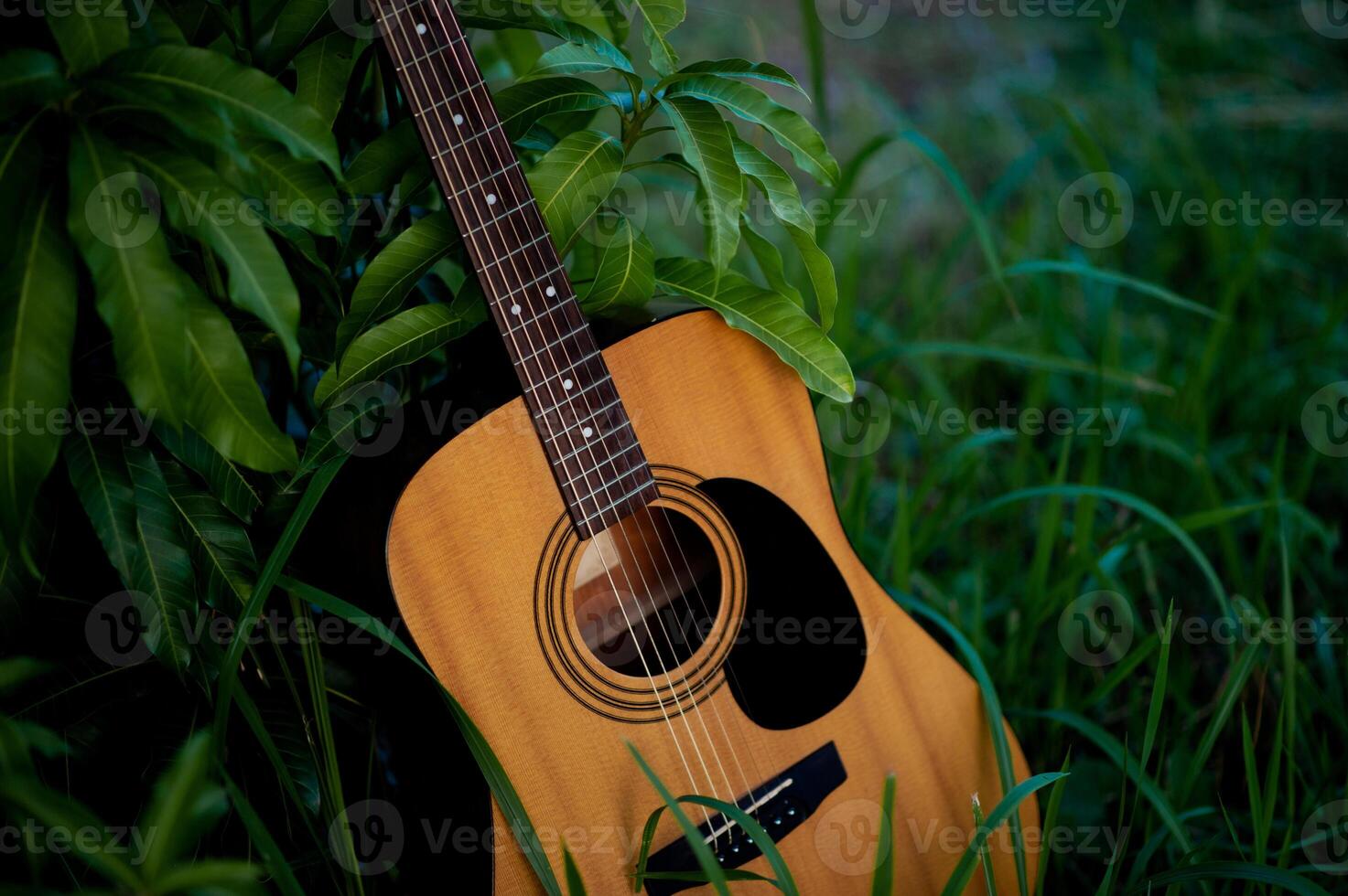 Acoustic guitar, orange string musical instrument placed in the area of trees and grass, playing music in the forest and relaxing. photo