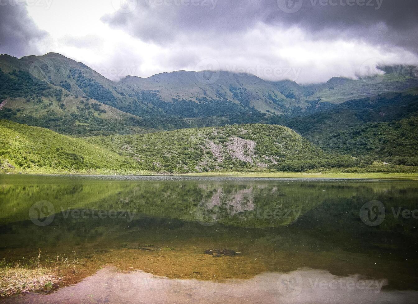 Yala Lagoons. Lost in the fog photo