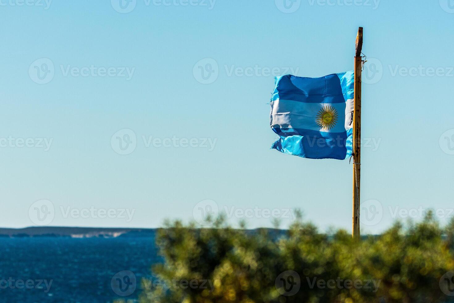 Homeland on the coast photo