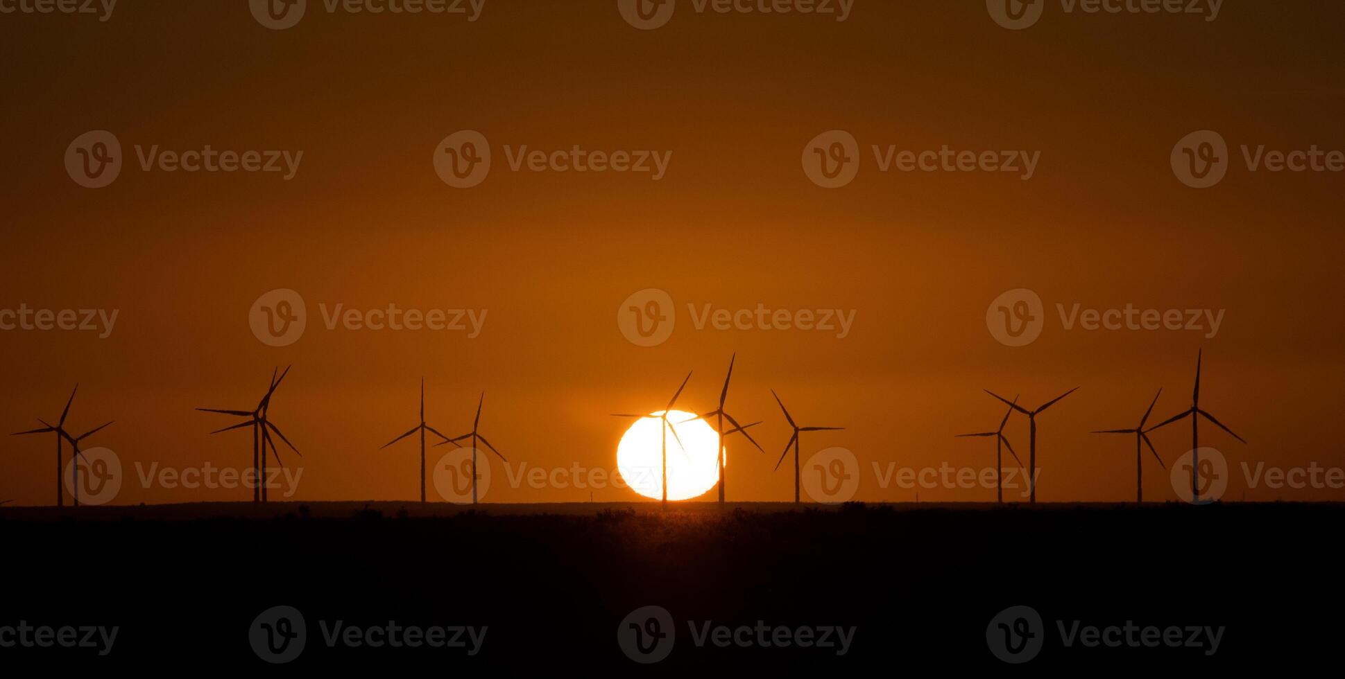 Windmills at sunset photo