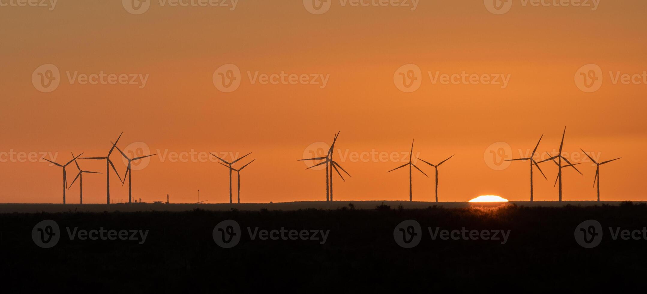 Windmills at sunset photo
