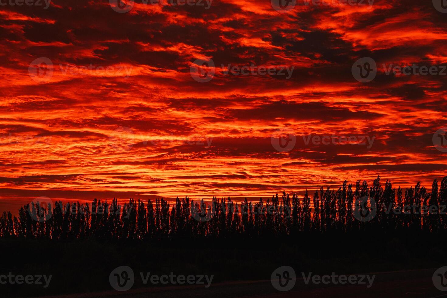 Skies of Fire photo