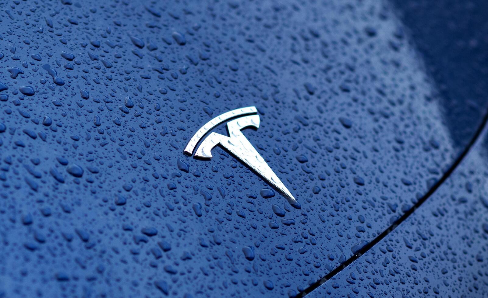 Kyiv, Ukraine. May 30, 2024. Tesla emblem in a close up view with water drops. Brand logo on a blue car hood photo