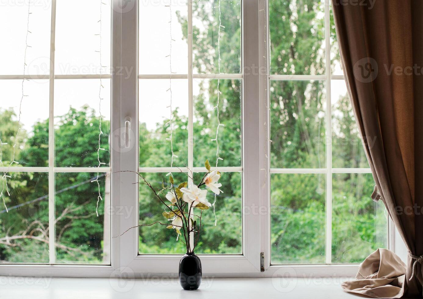 A vase of beautiful lonely flowers on the windowsill in the room, space for text. curtains and a big window. green background photo