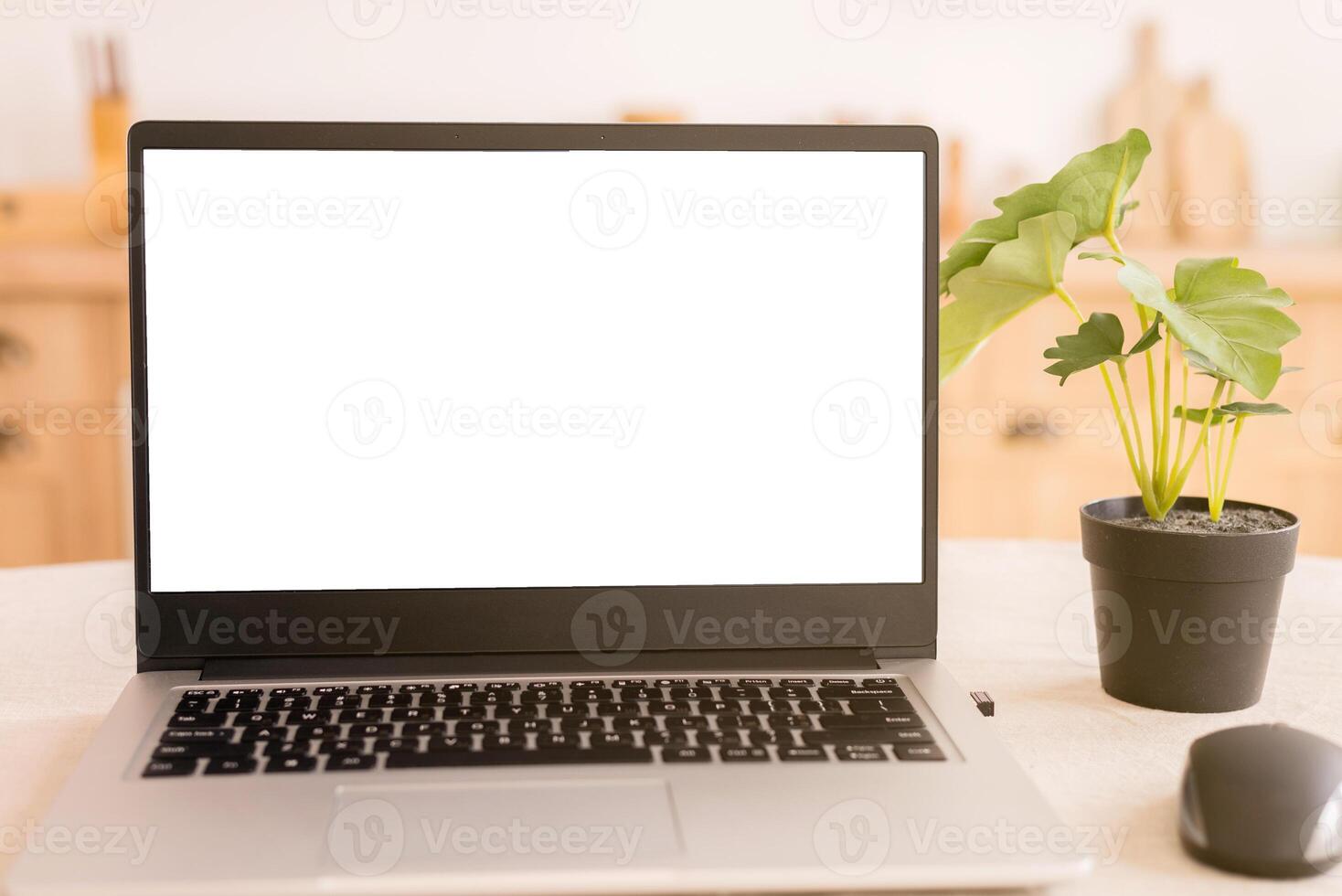 A workplace in a bright kitchen during quarantine. Laptop with place for text close up. Telework. freelance. flowerpot, and mouse on the table. Copy space. photo