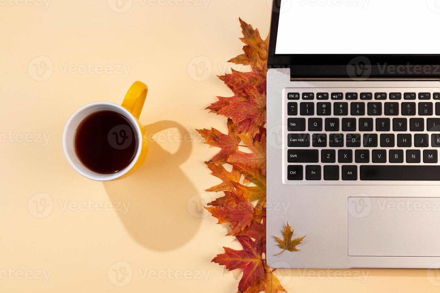 Workspace with red and yellow fallen leaves, laptop, cup of tea with shadows. Top view of cozy office beige desk. Autumn background, flat lay. photo