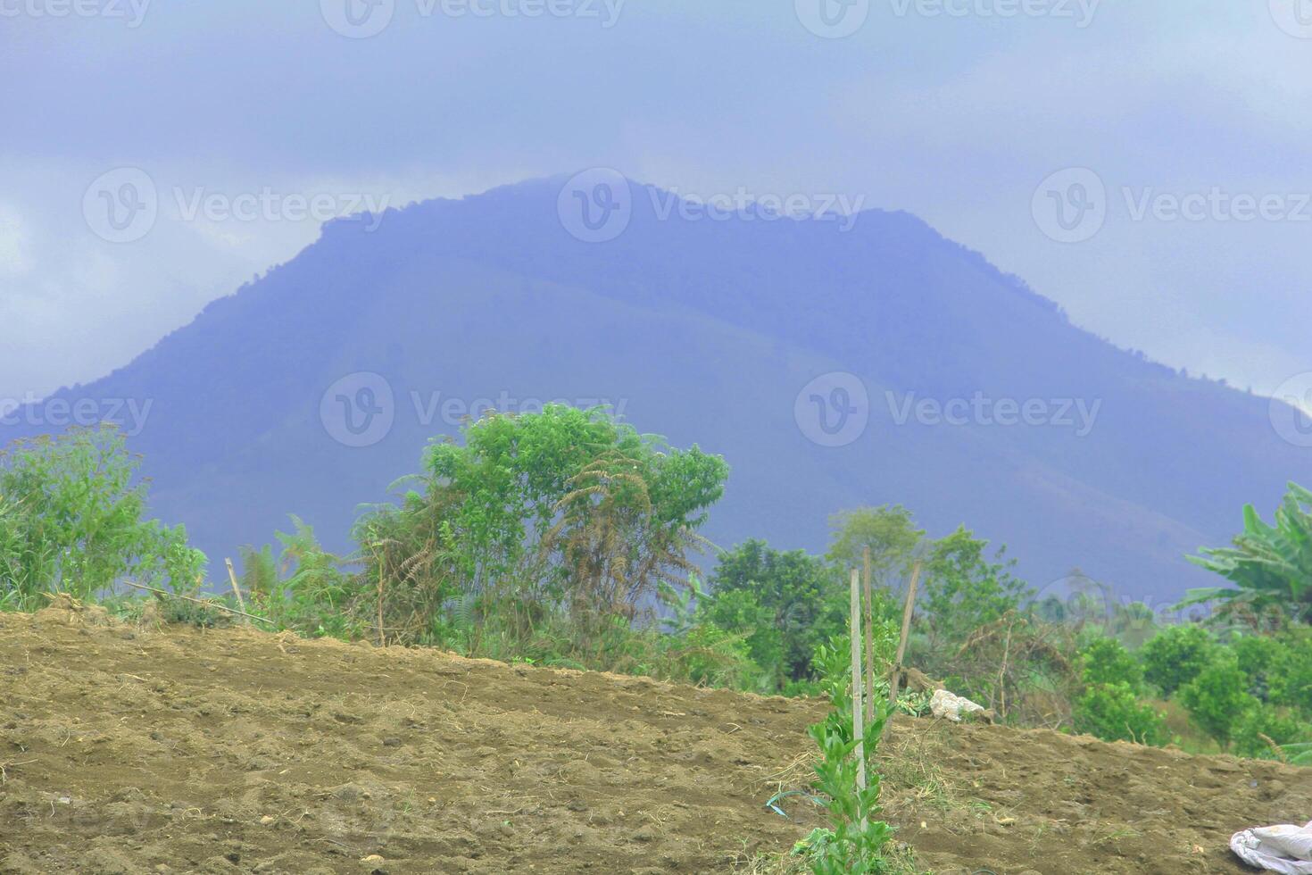 Panorama of hills and agricultural land in Seribu Dolok, North Sumatra, Indonesia photo