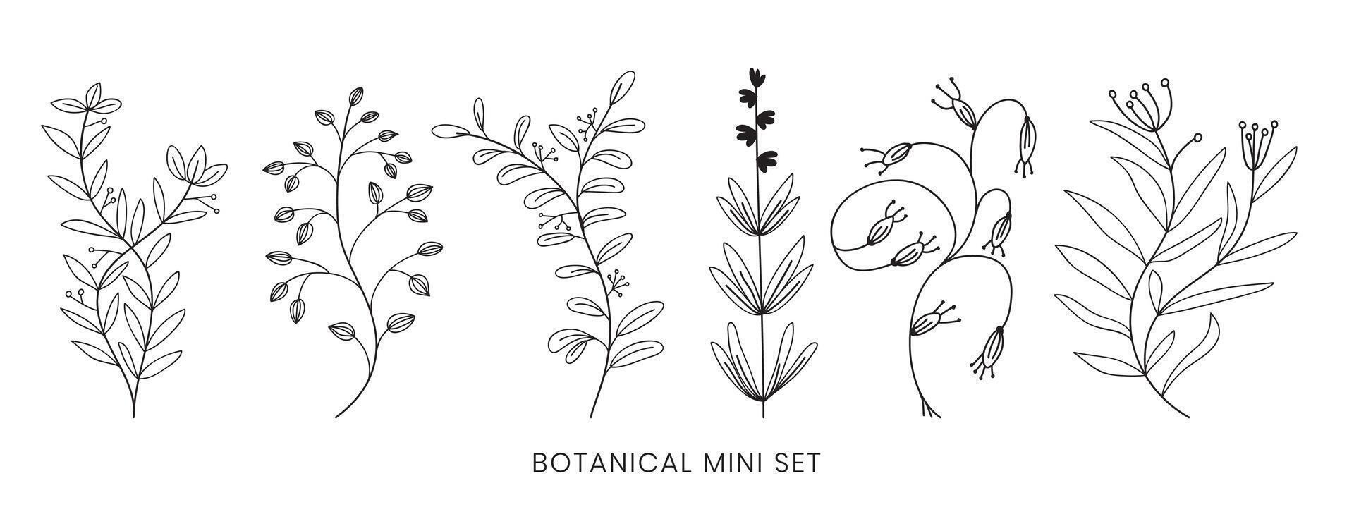 Set hand drawn curly grass and flowers on white isolated background. Botanical illustration vector
