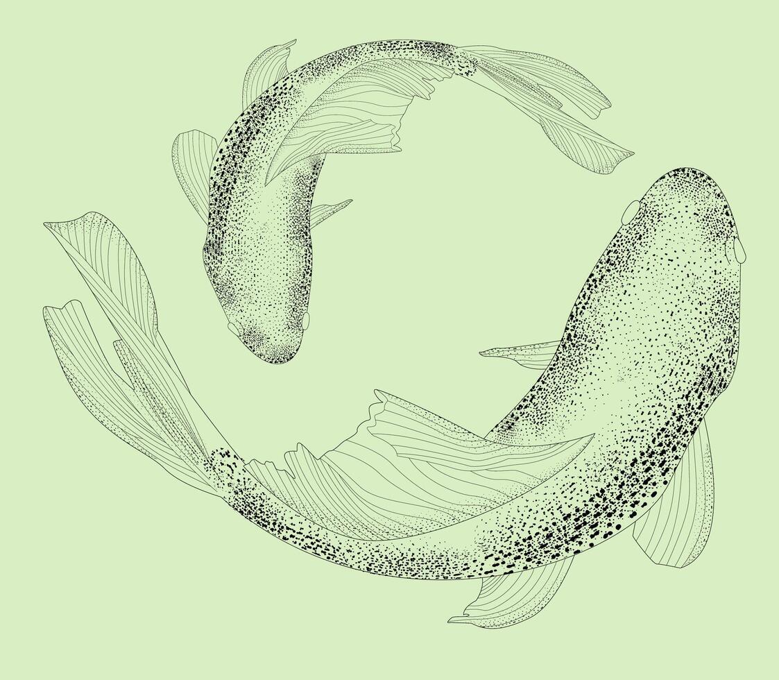 Sketch of koi pare fish, carp view from above realistic hand-drawn graphics, illustration sketch river fish, retro engraving style, isolated on background. mom and baby vector