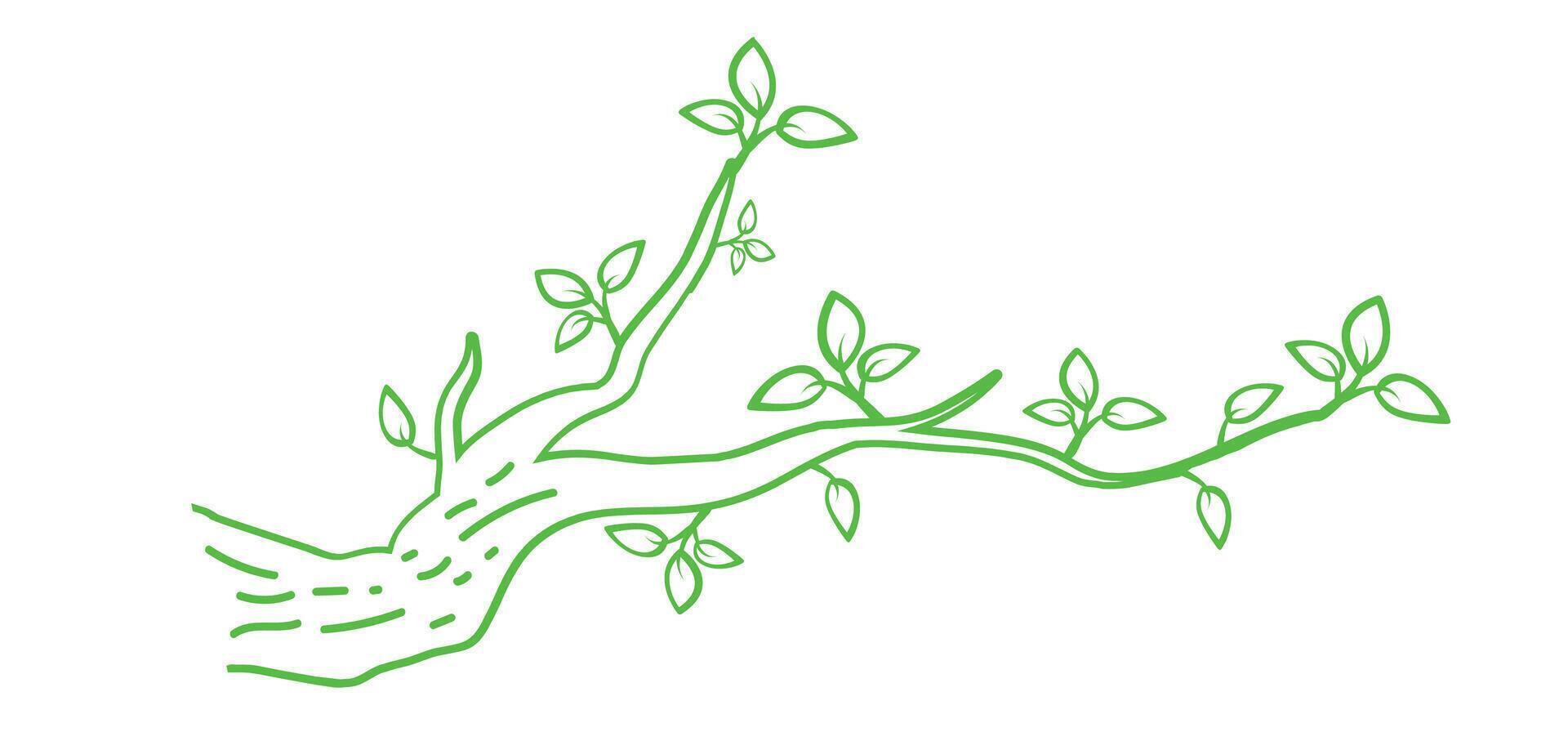 Tree Branch Outline illustration vector