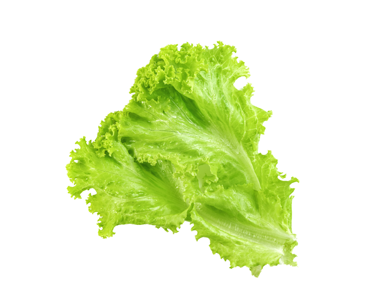 Lettuce leaf isolated, Green leaves pattern ,Salad ingredient png