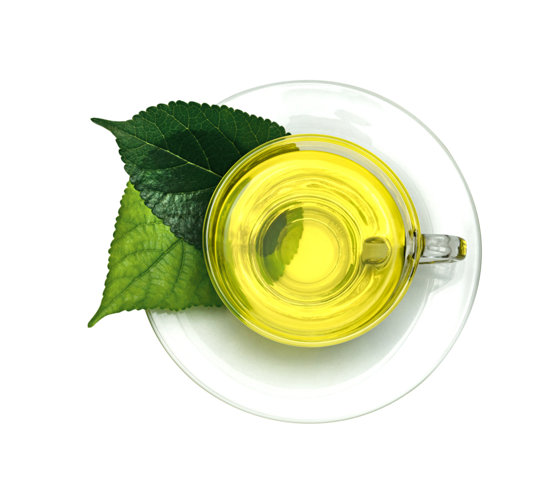 green tea with transparent cup isolated png