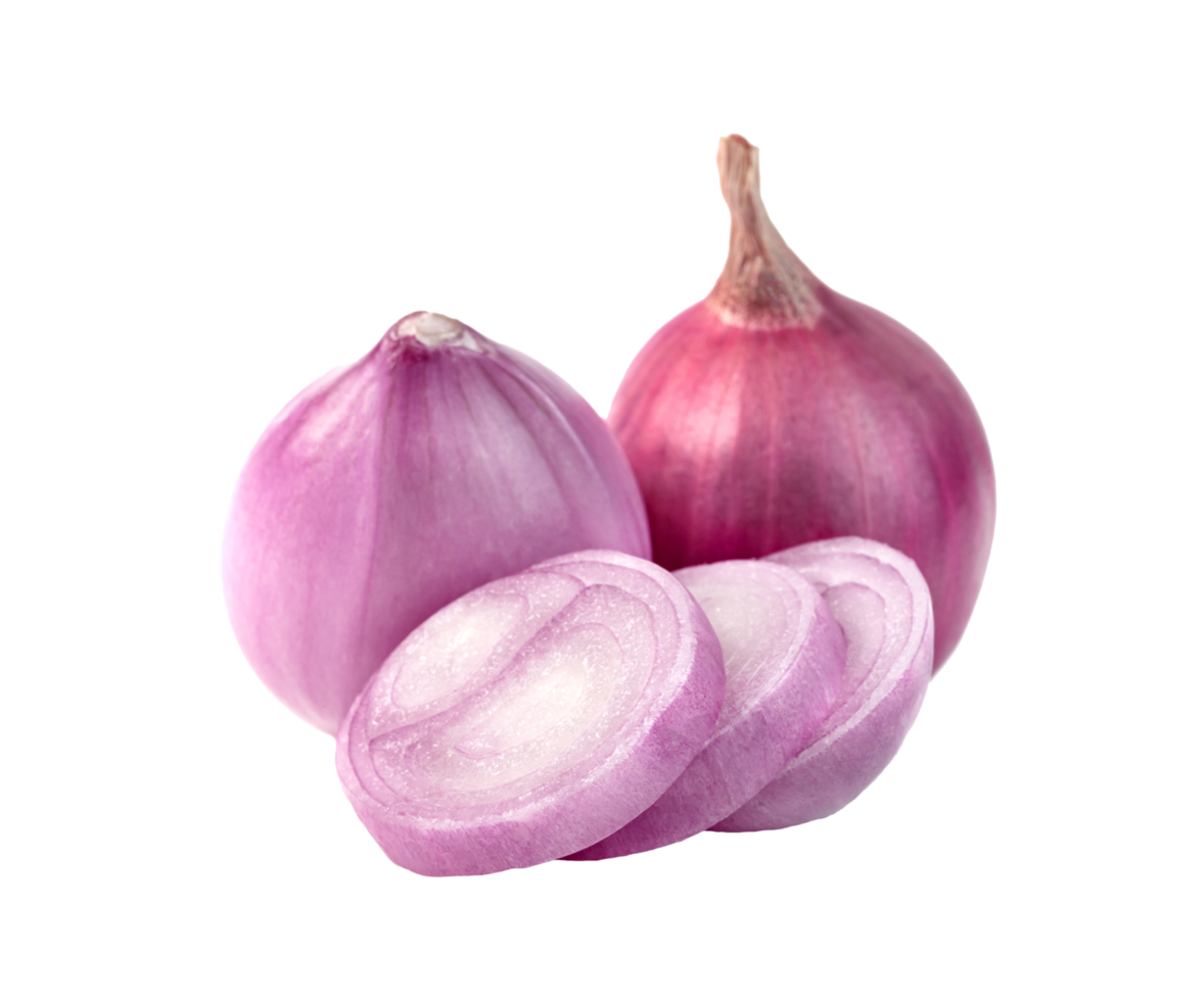 shallots onion chopped isolated png