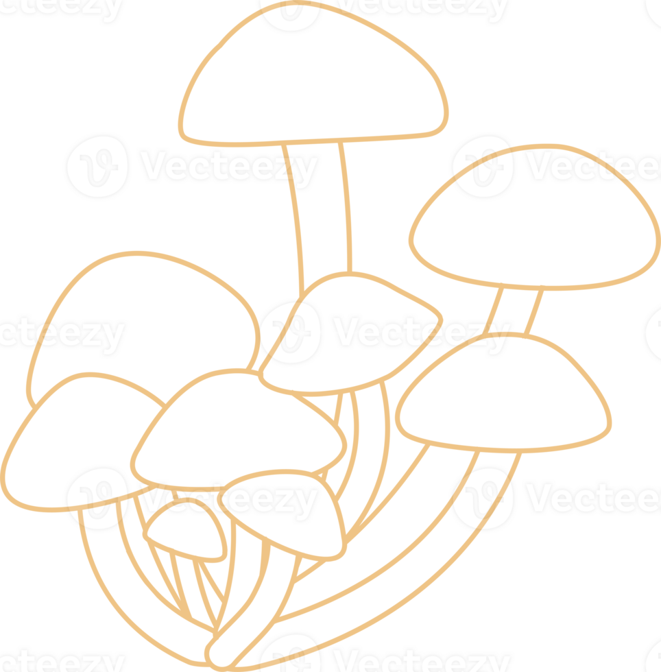 Honey mushrooms grow in the forest in autumn. png