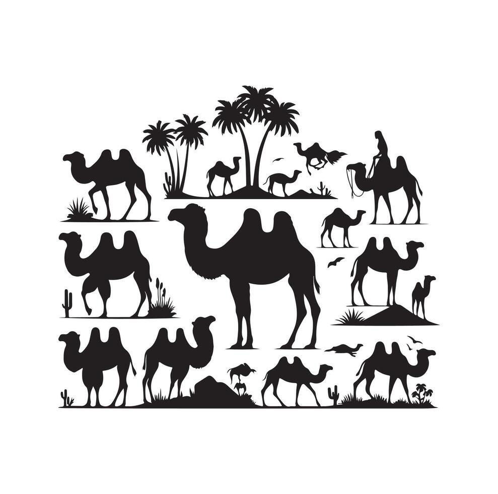 camel silhouettes illustration on white background vector