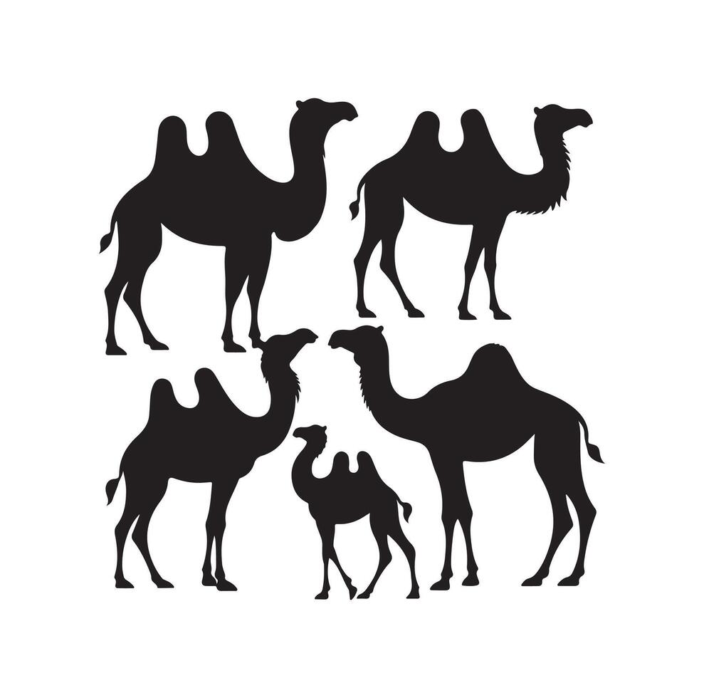 camel silhouettes illustration on white background vector