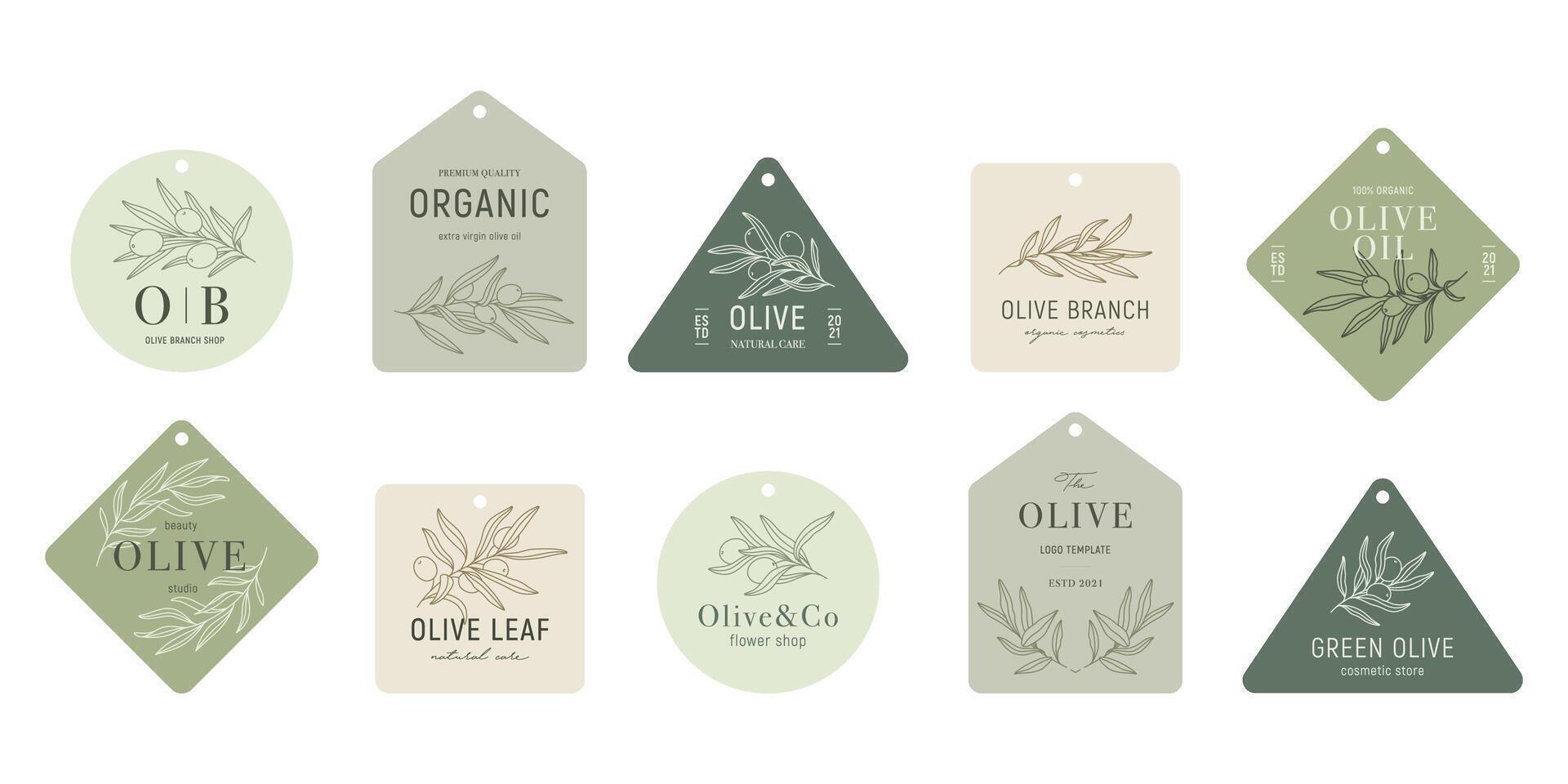 Olive labels with olive branches on color backgrounds in minimal linear style. leaves and olive fruits. Greenery plants and simple frames. vector