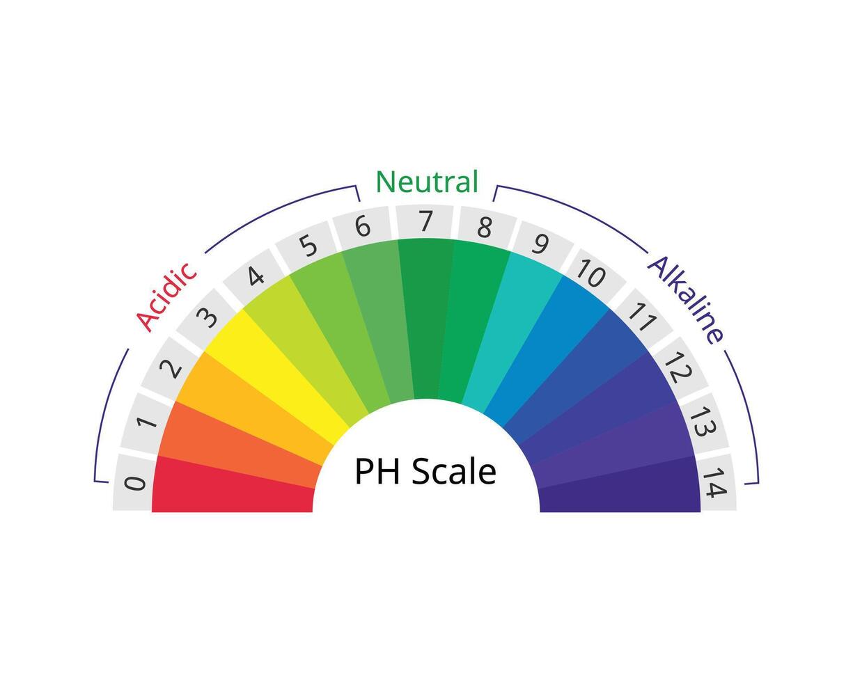 pH scale is a measure of how acidic or basic water is. The range goes from 0 - 14 with 7 being neutral vector