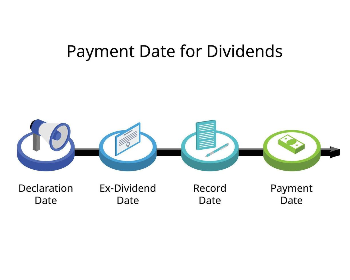 payment date for dividends for dividend payout timeline for declaration date, ex-dividend, record, payment date vector