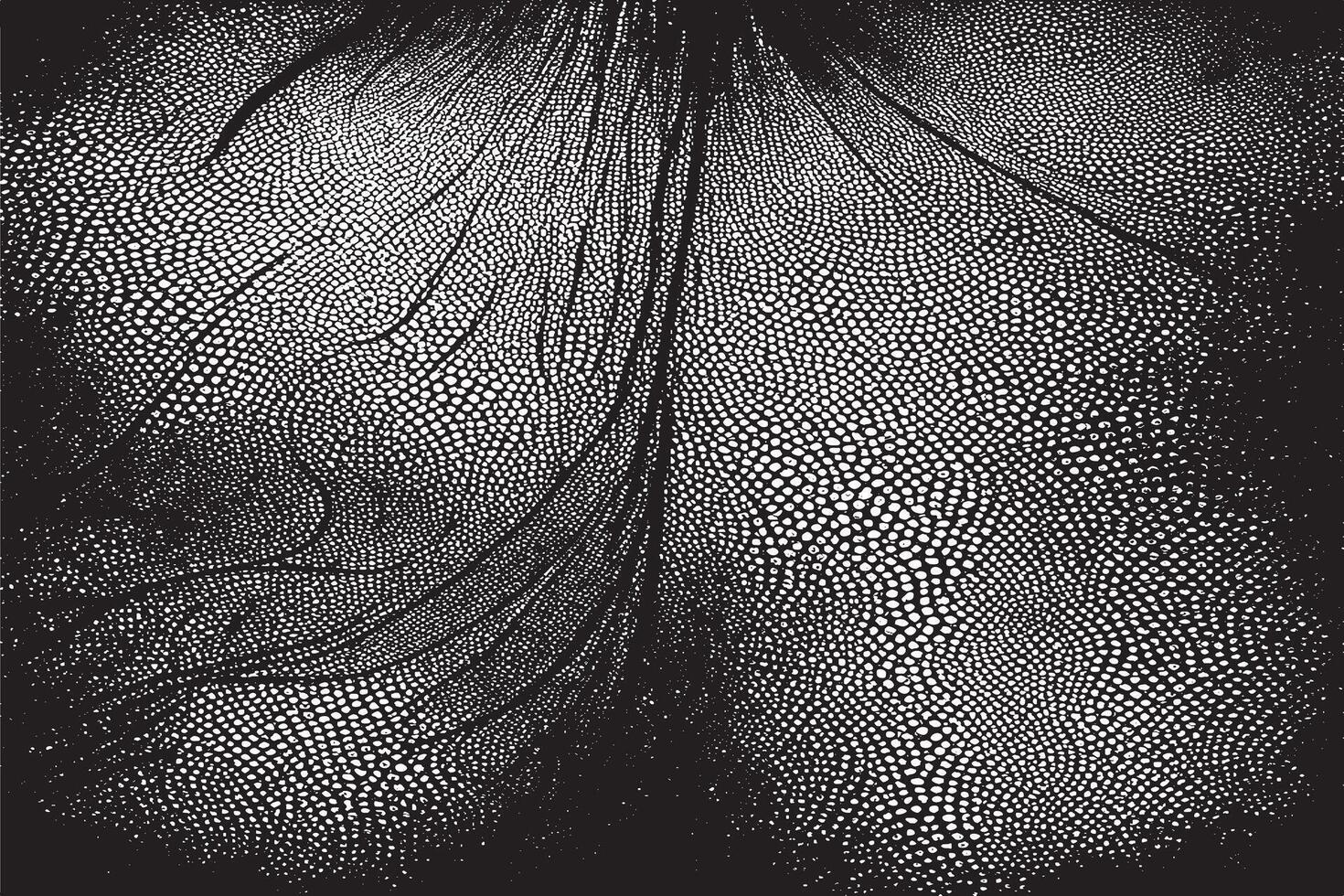 black and white monochrome overlay grunge gritty texture, illustration background texture. EPS 10 vector